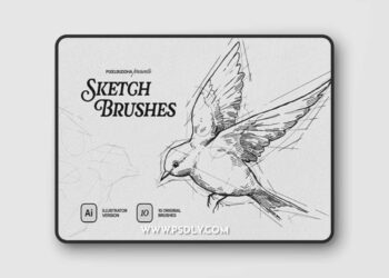 10 Sketch Brushes for Illustrator