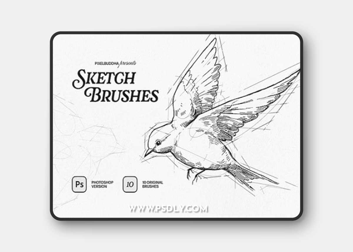 10 Sketch Brushes for Photoshop