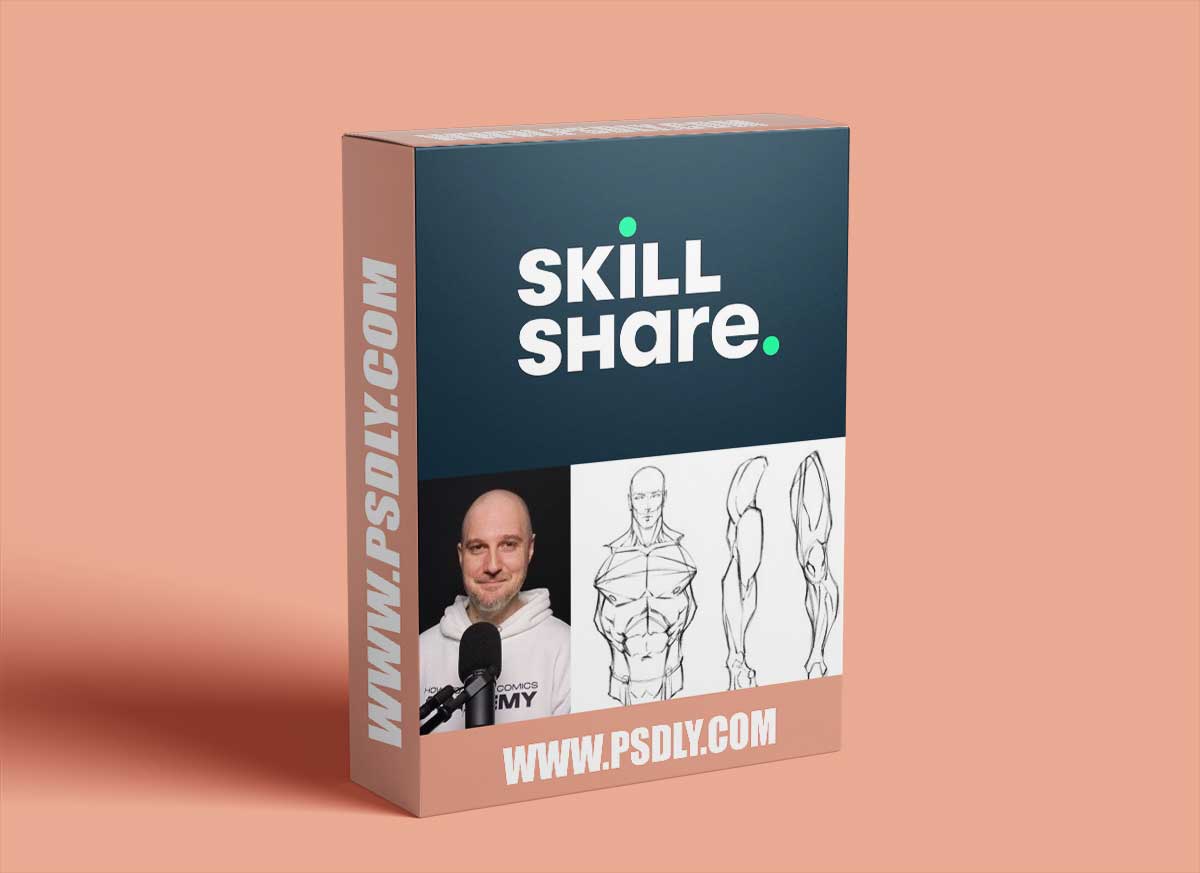 Anatomy of The Male Figure - Front View