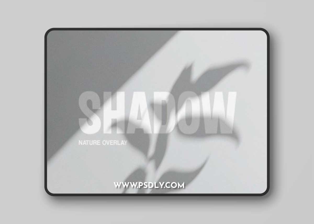 Plant Shadow Texture Overlay