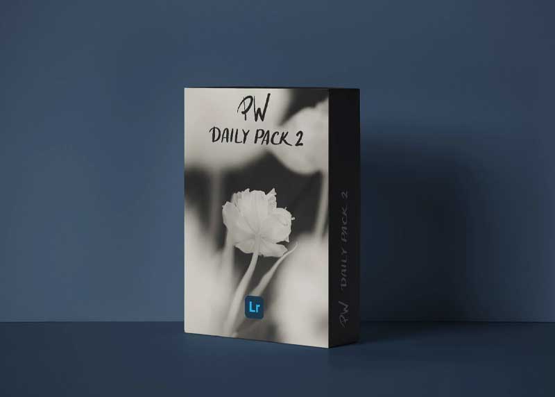 Polina Washington - PW DAILY PACK 2 - Lightroom Presets