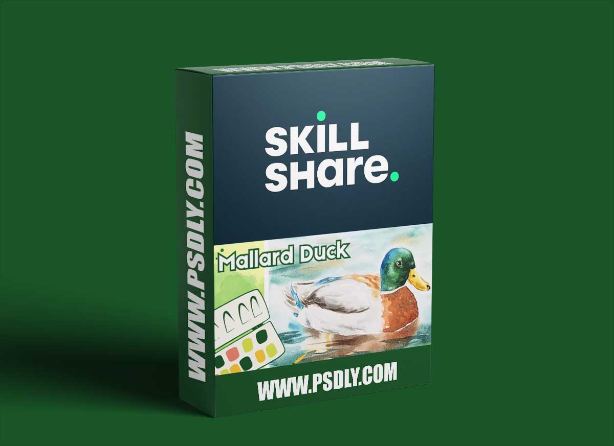 Watercolor Birds: Mallard Duck in Lake