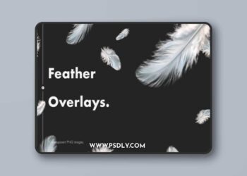 Feather Overlays
