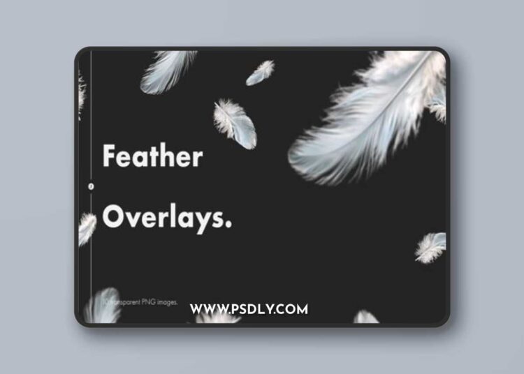 Feather Overlays 1 Feather Overlays