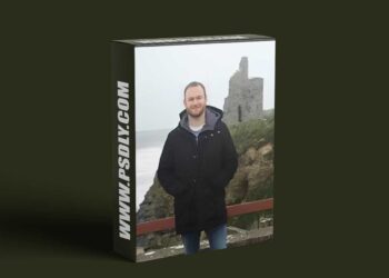 Fergal Downes – Traffic Stream