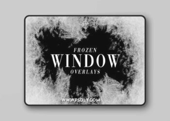 Frozen Window Overlays 3D Model