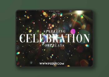 Sparkling Celebration Overlays