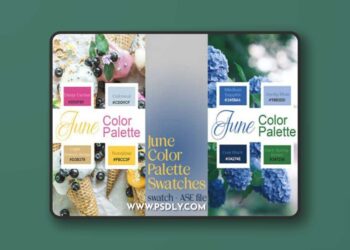 June Color Palette Swatches for Photoshop