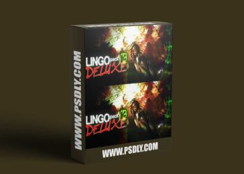LINGO PACK V3 DELUXE (550+ ASSETS)