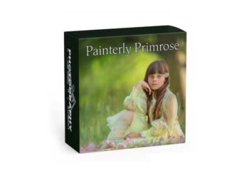 Painterly Primrose by Shannon Squires