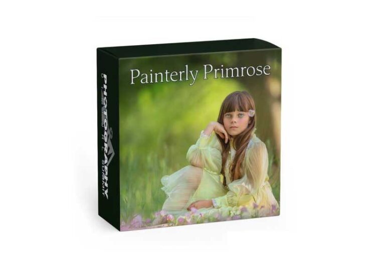 Painterly Primrose by Shannon Squires 1 Painterly Primrose by Shannon Squires