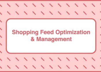 Take Some Risk – Shopping Feed Optimization and Management