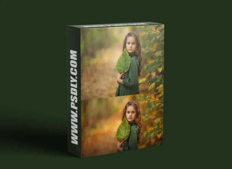 DJEIRANA - Fall Field Edit 1 DJEIRANA - Fall Field Edit