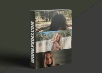 Joel famularo phantom luts for panasonic