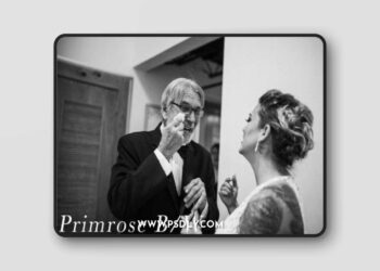 LIGHTROOM DESKTOP Primrose Preset Pack (6 Presets)