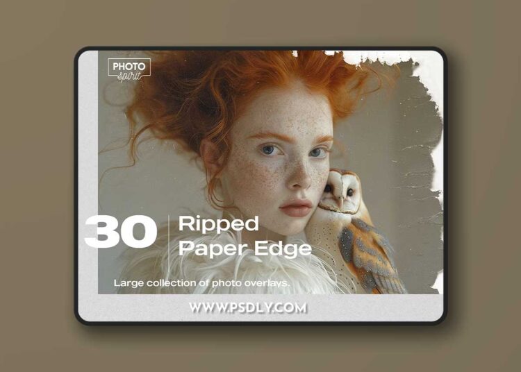 Ripped Paper Edge Effect Overlays - PhotoSpirit 1 Ripped Paper Edge Effect Overlays - PhotoSpirit