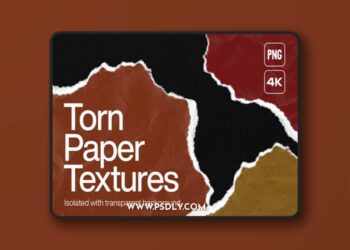 Torn Paper Overlays for Photoshop