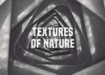 Videohive Stones And Grass Logo Intro 53960794