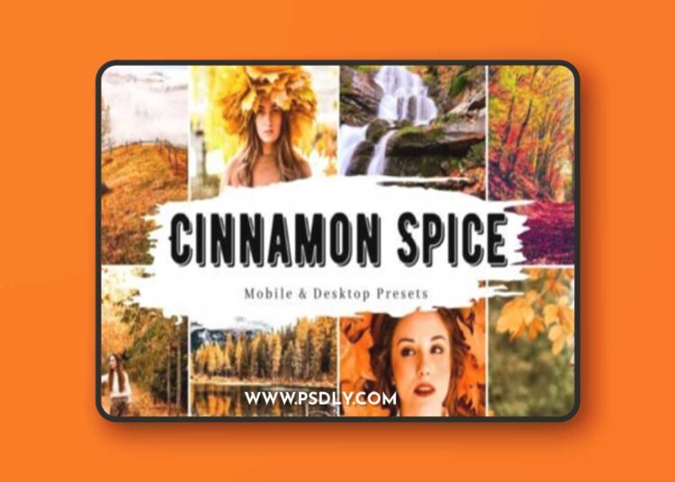 10 Cinnamon Spice Fall Lightroom Presets 1 10 Cinnamon Spice Fall Lightroom Presets