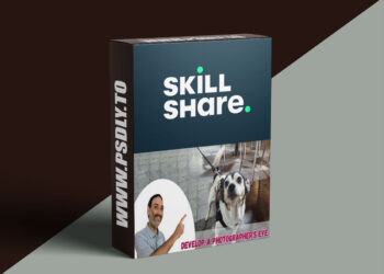 Develop a Photographer's Eye by Critiquing Your Own Work