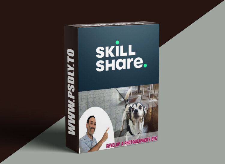 Develop a Photographer's Eye by Critiquing Your Own Work 1 Develop a Photographer's Eye by Critiquing Your Own Work