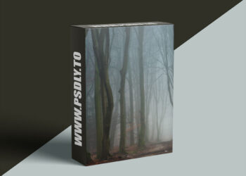 Ellen Borggreve - The Magic Of Forest Photography