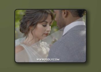 Gamut - Panasonic Conversion LUTs for V-Log