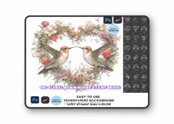 Procreate Photoshop Hummingbird Brush