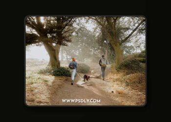 gamut.io - Mango Street Lab - Stratus LUTS