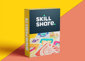 Dare to Color - Explore Four Fundamental Color Combinations to Boost Your Creativity