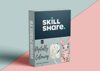 Digitally Colouring Your Drawings in Procreate