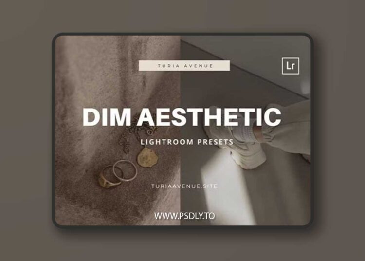 Dim Aesthetic Lightroom Presets 1 Dim Aesthetic Lightroom Presets
