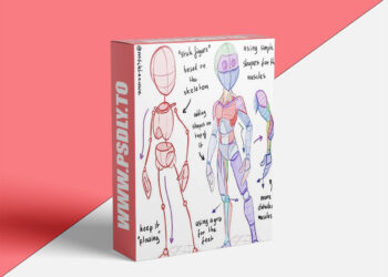 How to Learn Anatomy by Mitch Leeuwe