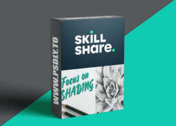 Mastering Shading: How To Get A Realistic Effect With Graphite Pencils