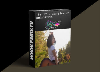 Animawarriors - The 12 Principles of Animation