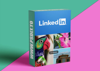 Premiere Pro Guru: Fixing Video Color and Exposure Problems (2024)