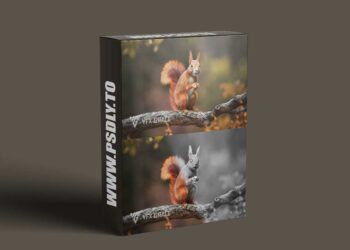 Redsquirrel Summer Animated | Vfx Grace