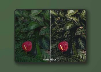 The Ultimate Bundle - Mobile Lightroom Presets