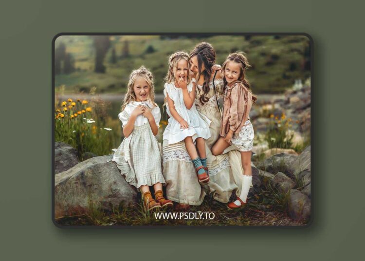 The Zeppelin Collection Lightroom Presets 1 The Zeppelin Collection Lightroom Presets