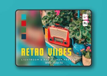 6 Retro Vibes Lightroom and Photoshop Presets BHRVLA6