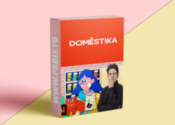 Domestika - Vector Illustration for Beginners