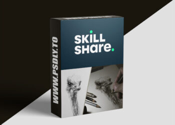 Drawing Basics: Your Creative Journey Starts Here