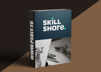 Drawing Basics: Your Creative Journey Starts Here