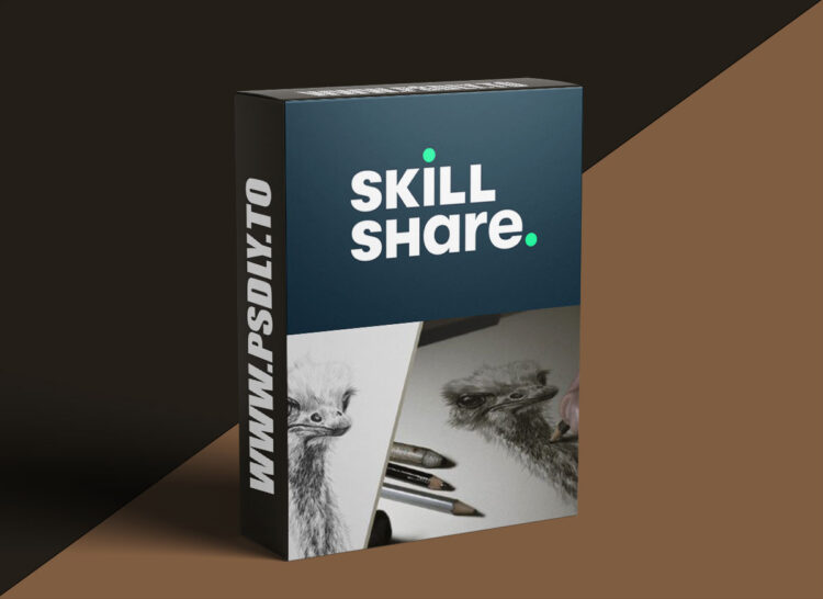 Drawing Basics: Your Creative Journey Starts Here 1 Drawing Basics: Your Creative Journey Starts Here