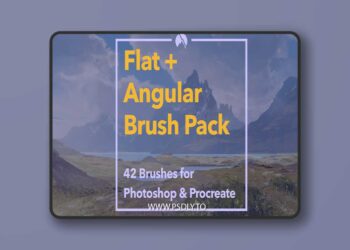 Flat+Angular Brush Pack: 42 Stylized Brushes for Photoshop & Procreate + Demo Videos