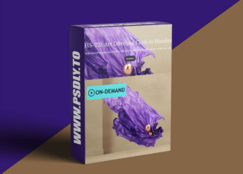 Houdini School – HS-221 – Art Directing Cloth in Houdini