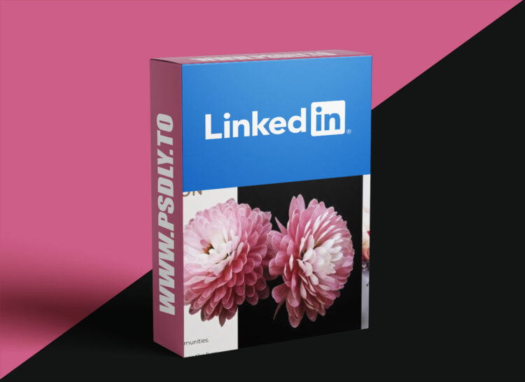 InDesign 2025 Essential Training 1 InDesign 2025 Essential Training