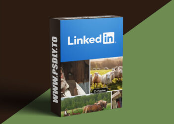 Premiere Pro 2025 Essential Training