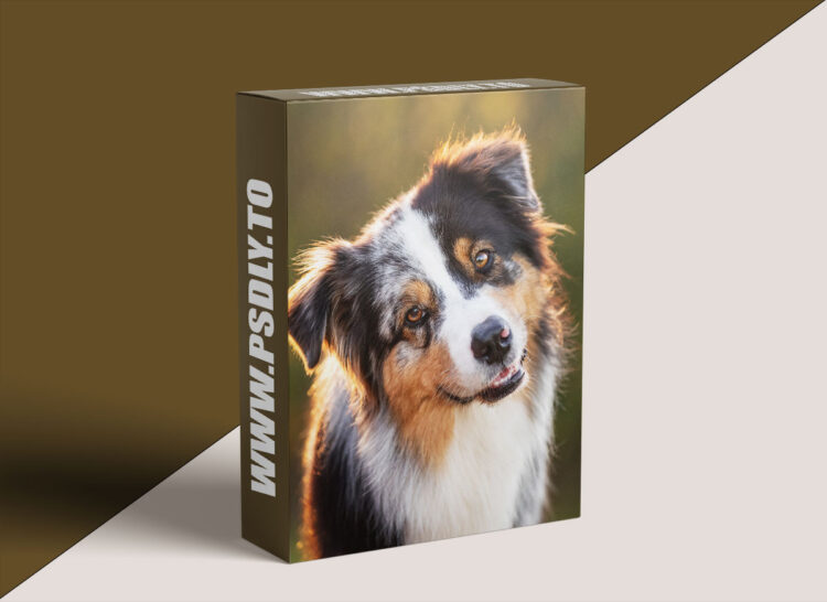 Unleashed Education - Simplifying Manual Exposure for Pet Photographers 1 Unleashed Education - Simplifying Manual Exposure for Pet Photographers