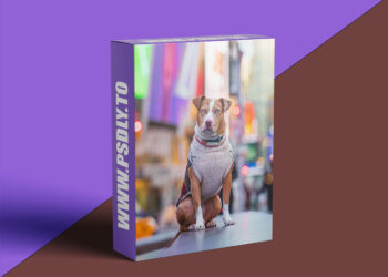 Unleashed Education - Sparkle Editing